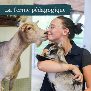 <tc>Duo Educational Farm and Butterfly Garden (Self-guided visits) </tc>