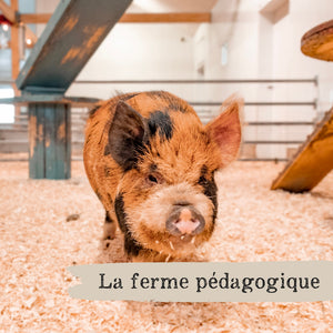 Ticket -  Educational Farm (self-guided tour)