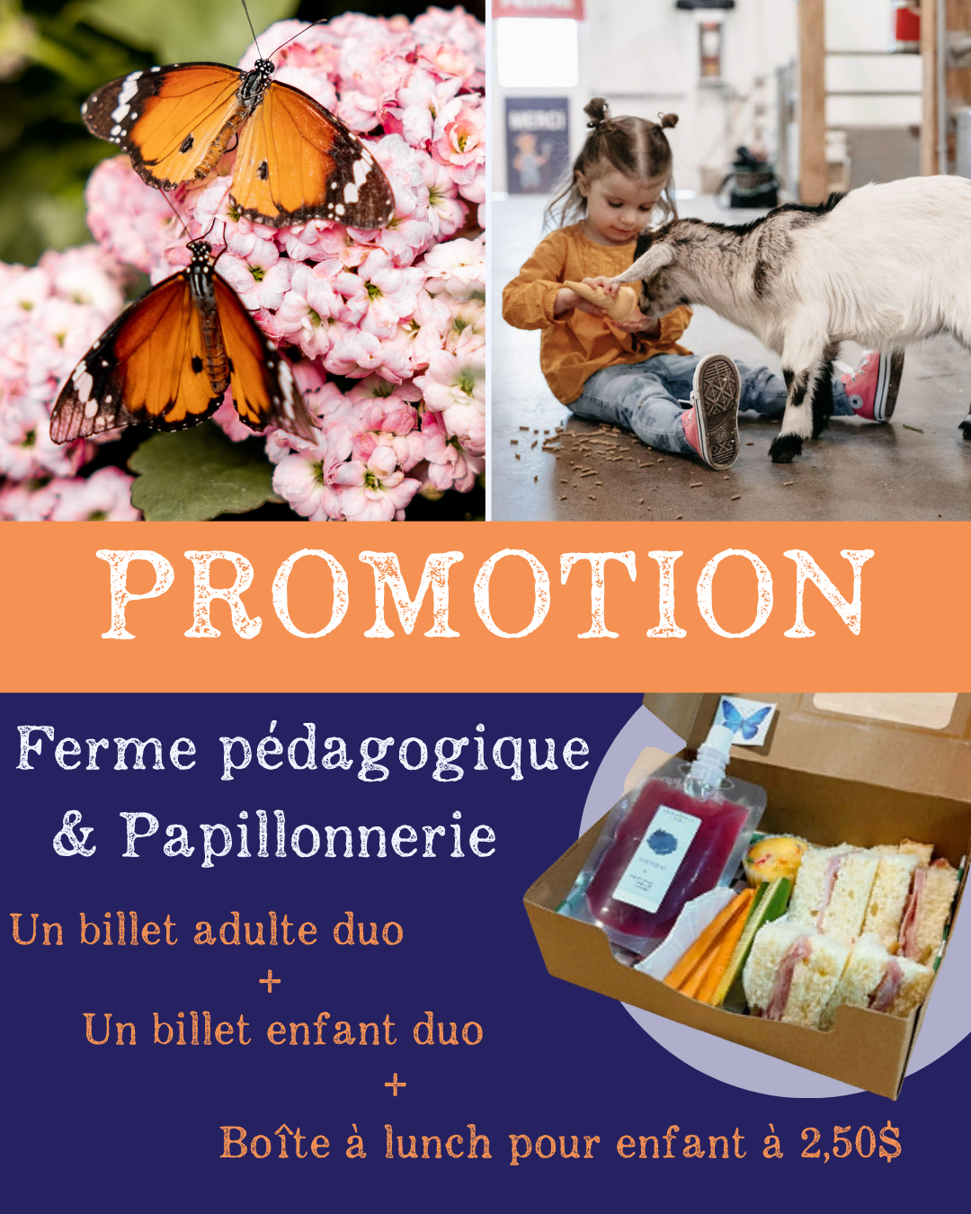 Promotion en ligne – Billets DUO Ferme pédagogique & Papillonnerie + Boîte à lunch enfant