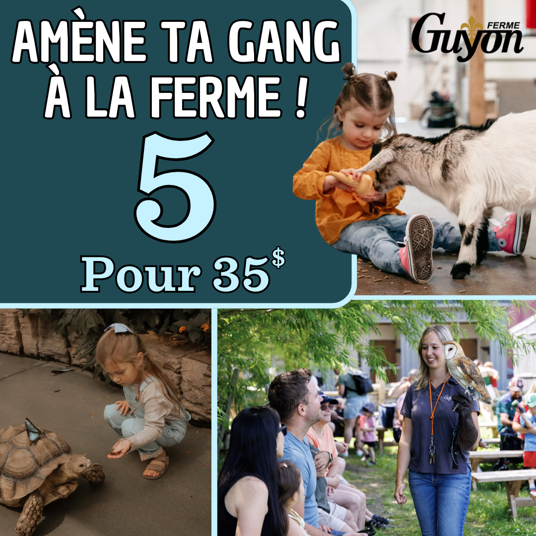 Forfait « Amène ta gang à la Ferme ! »