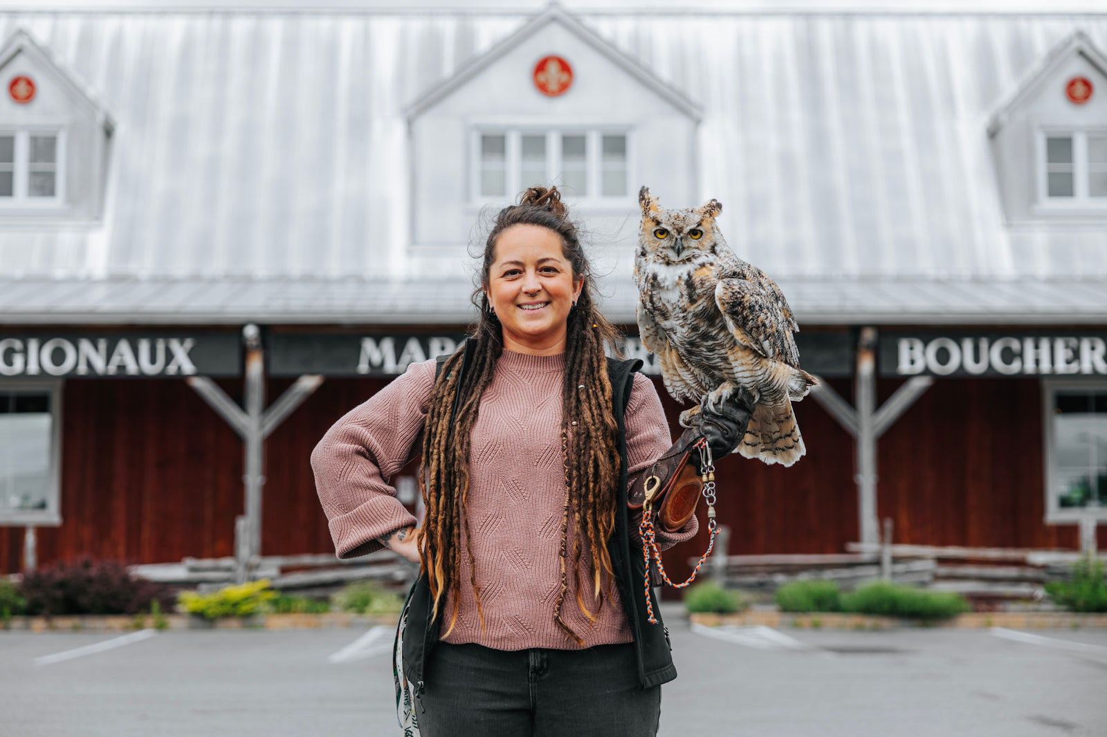 Les Oiseaux de proie s'envol à la Ferme guyon