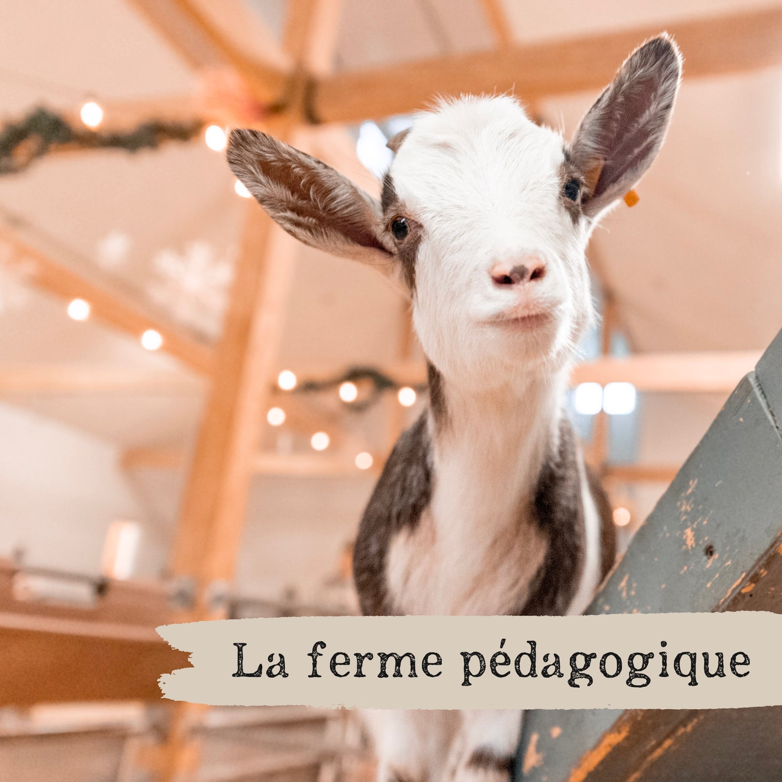 Billet - Ferme pédagogique (visite libre)