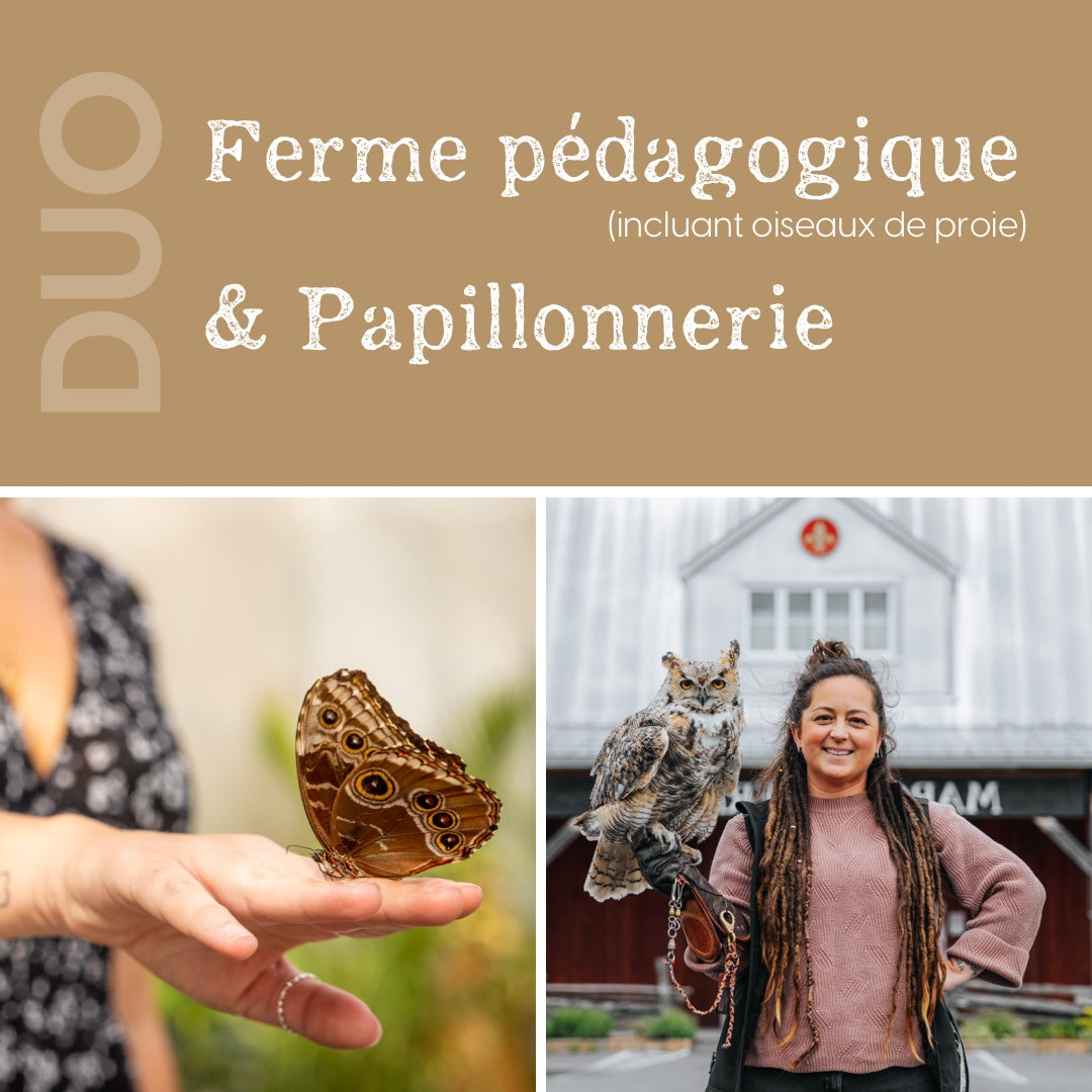 Duo Ferme pédagogique et Papillonnerie (visite libre)